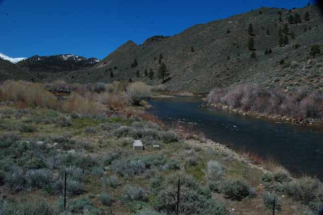the West Walker River